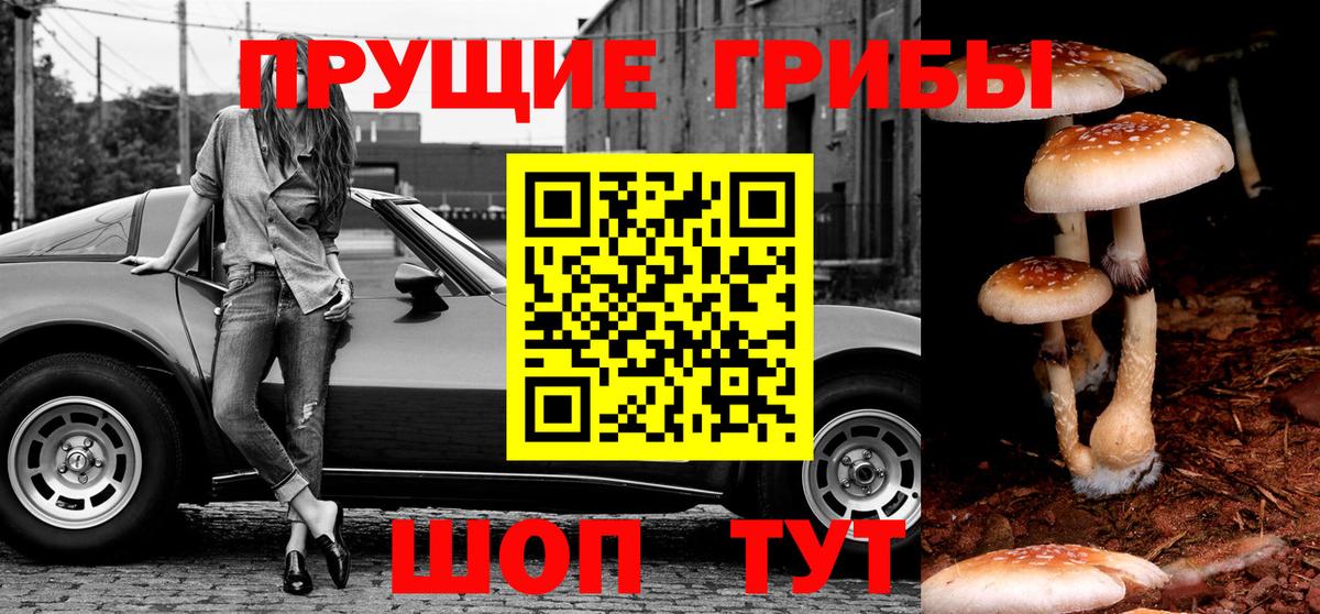 Псилоцибиновые грибы мицелий  Вход с VPN  Лобня 