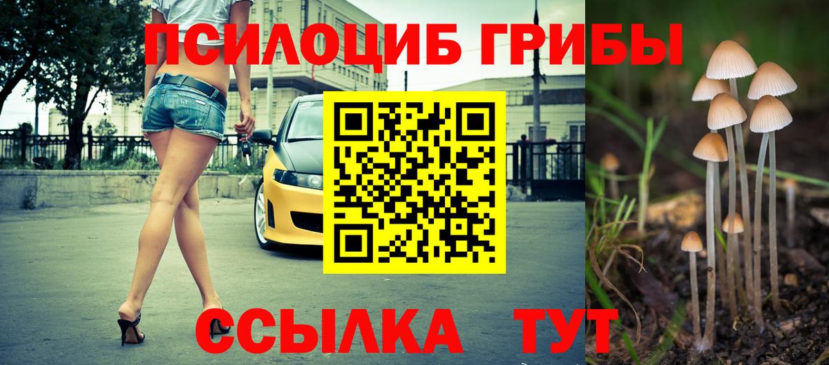 Галлюциногенные грибы мицелий Лобня
