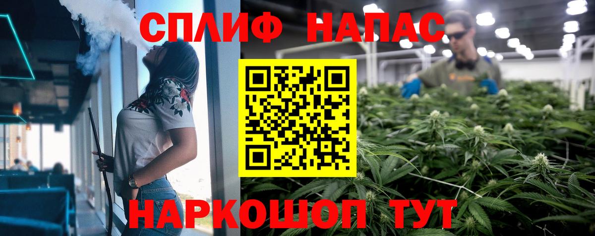 Конопля сатива Лобня